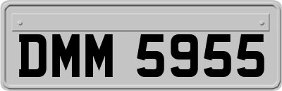 DMM5955