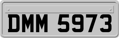 DMM5973