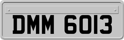 DMM6013