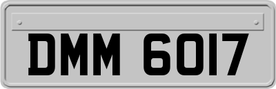 DMM6017