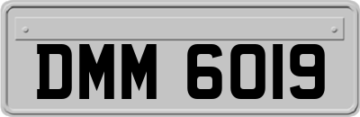 DMM6019