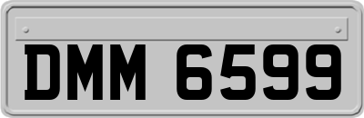 DMM6599