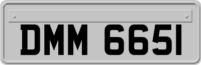 DMM6651