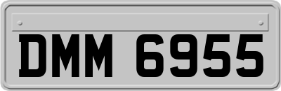 DMM6955
