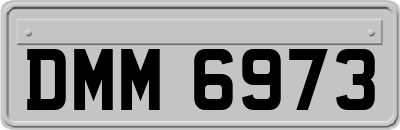 DMM6973