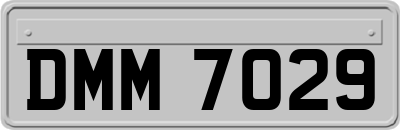 DMM7029