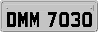 DMM7030