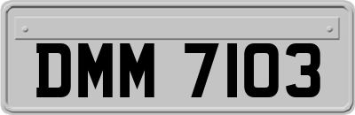 DMM7103