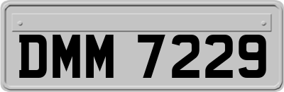 DMM7229
