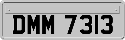 DMM7313