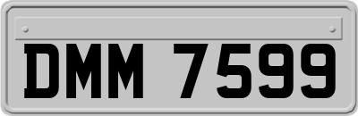 DMM7599