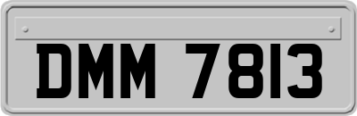 DMM7813