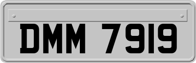 DMM7919