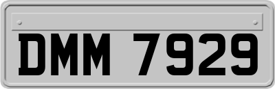 DMM7929