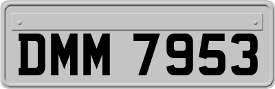 DMM7953