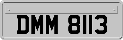 DMM8113