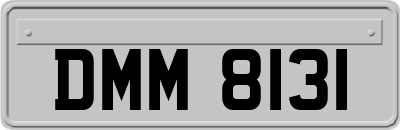 DMM8131