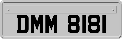 DMM8181