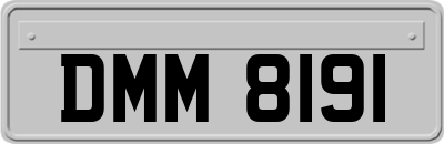 DMM8191