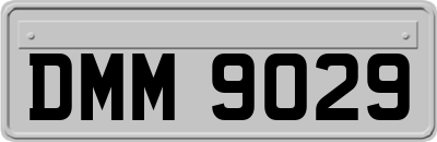 DMM9029