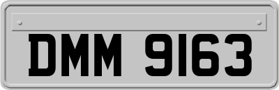 DMM9163
