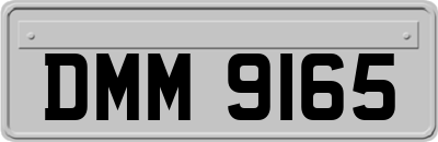 DMM9165