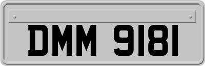 DMM9181