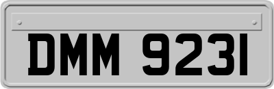 DMM9231
