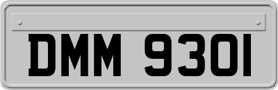 DMM9301