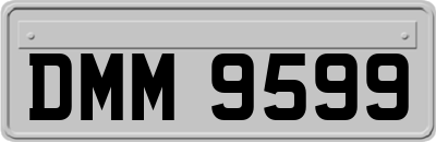 DMM9599