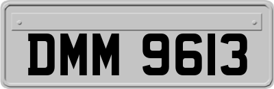 DMM9613