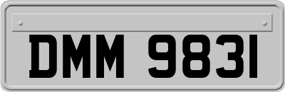 DMM9831