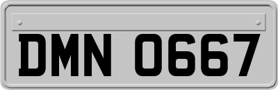 DMN0667