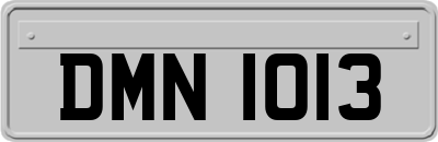 DMN1013