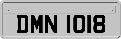 DMN1018