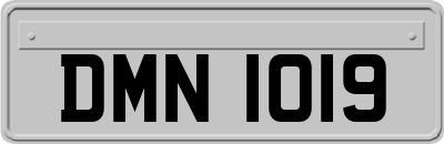 DMN1019
