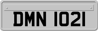 DMN1021