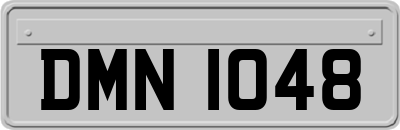 DMN1048