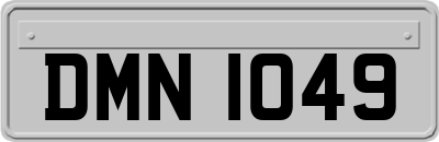 DMN1049