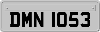 DMN1053