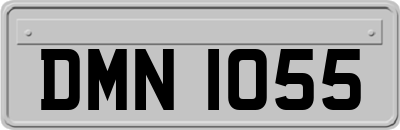 DMN1055