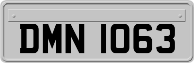 DMN1063