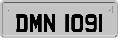 DMN1091