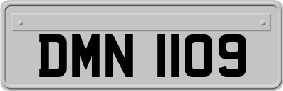 DMN1109