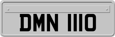 DMN1110