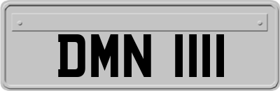 DMN1111