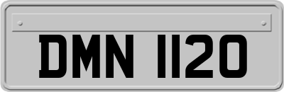DMN1120