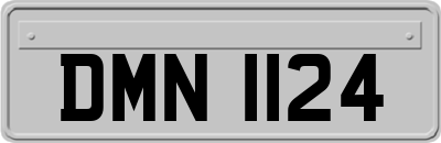 DMN1124