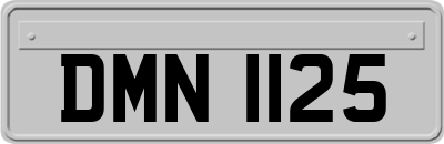 DMN1125