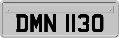 DMN1130